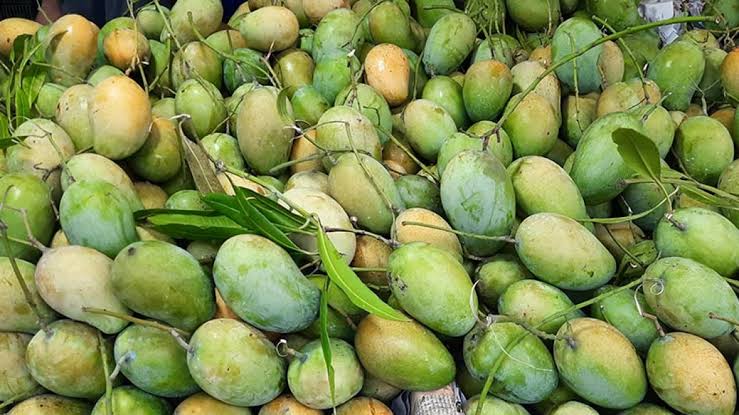 mango_2 mango_2