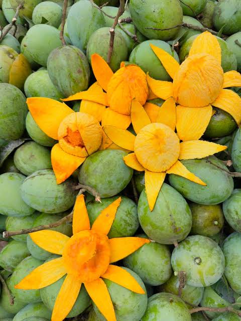 mango_aa