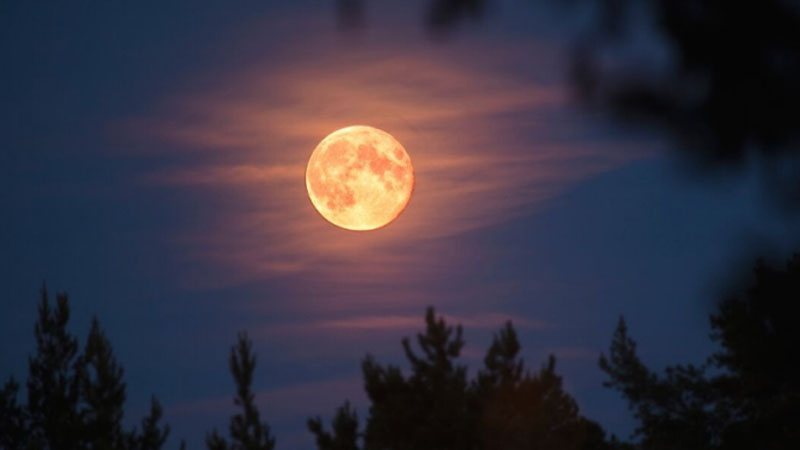 moon-1762348458