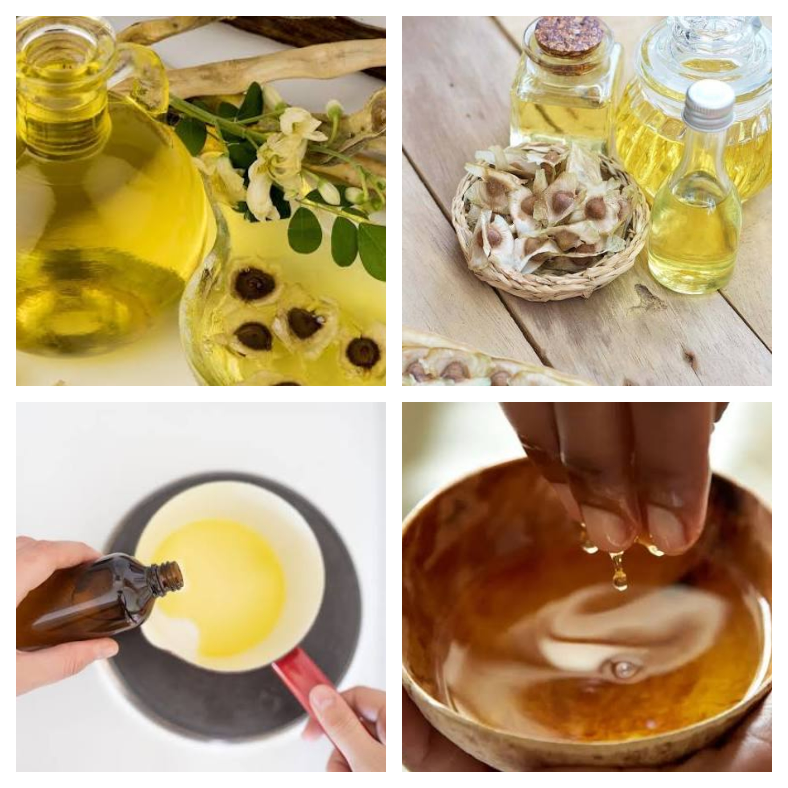 moringa_collage