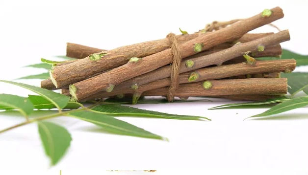 neem-miswak