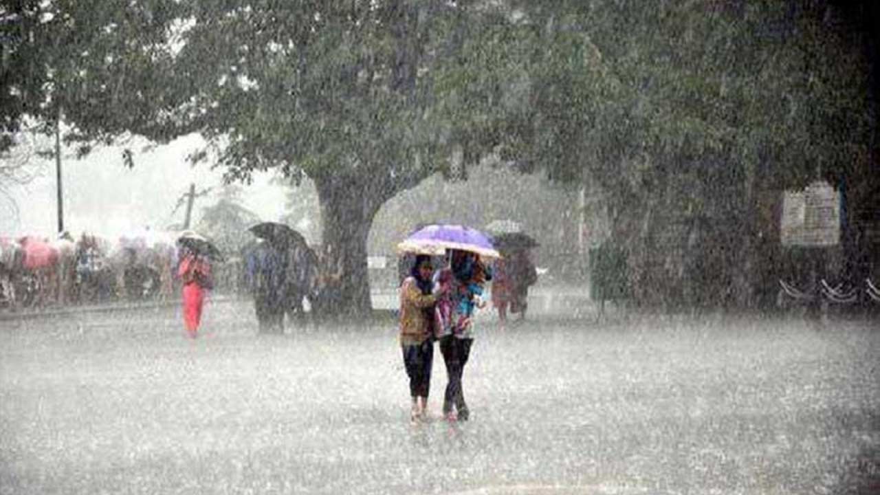 rain-4