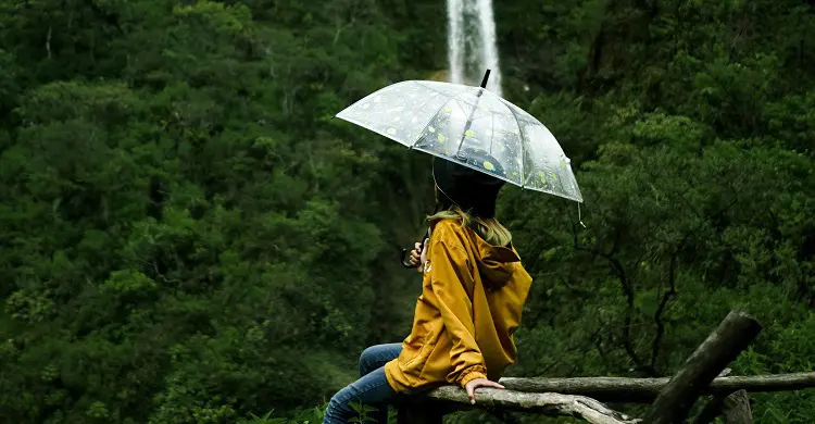 raincover-20240808131133 raincover-20240808131133