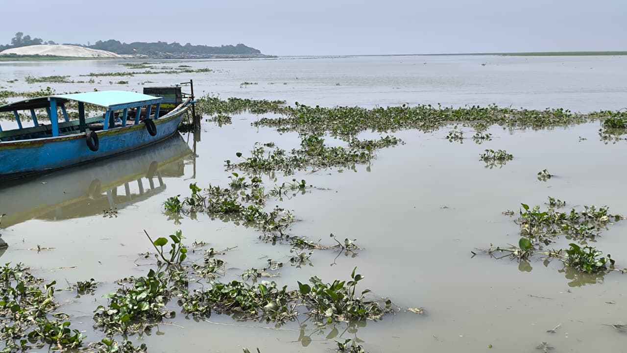 বাড়ছে যমুনার পানি, তলিয়ে যাচ্ছে সিরাজগঞ্জের চরাঞ্চল, আতঙ্কে নদীপাড়বাসী