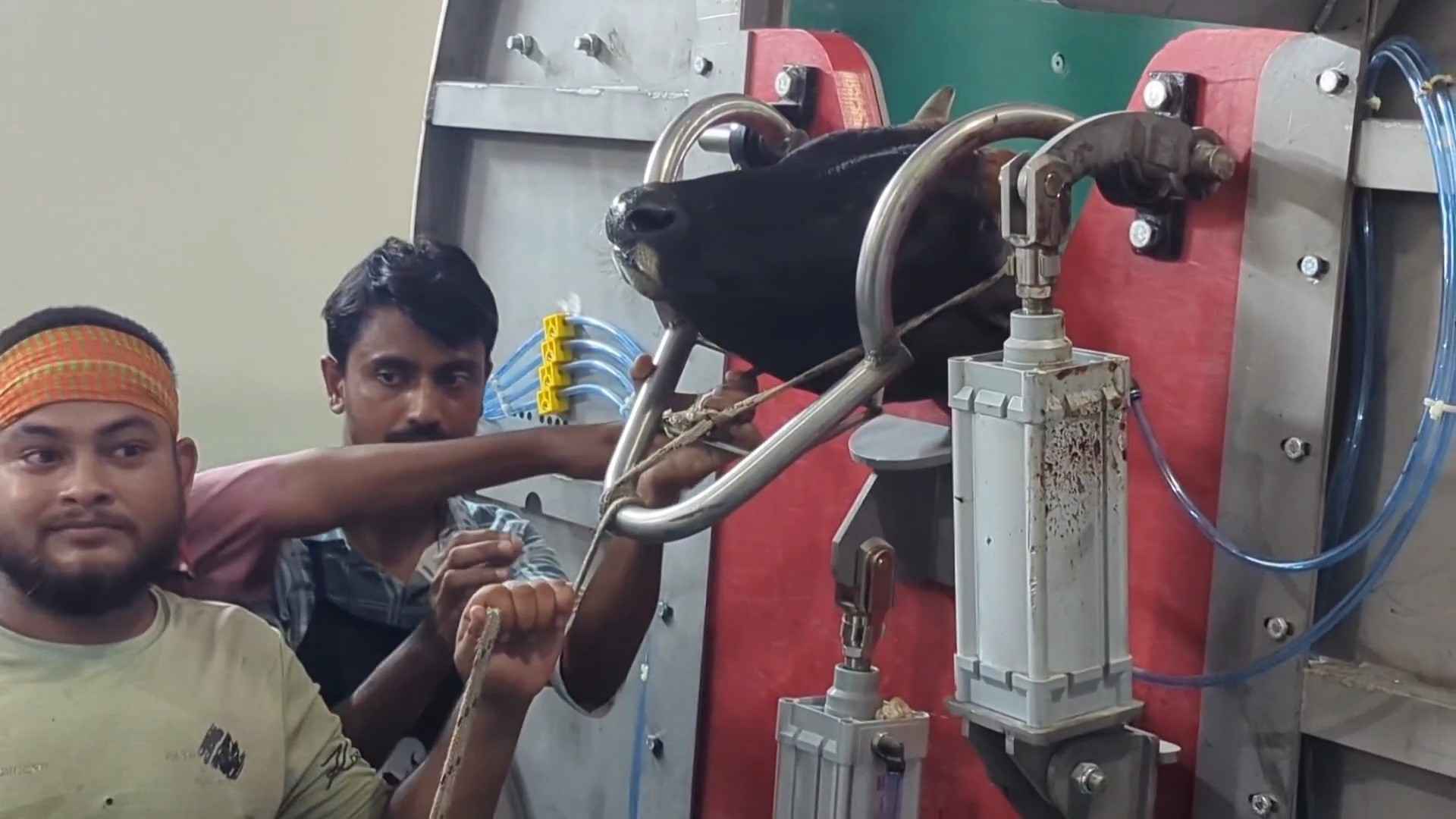 বিশ্বব্যাংকের অর্থায়নে মুন্সিগঞ্জবাসী পেলেন ‘আধুনিক পশু জবাইখানা’