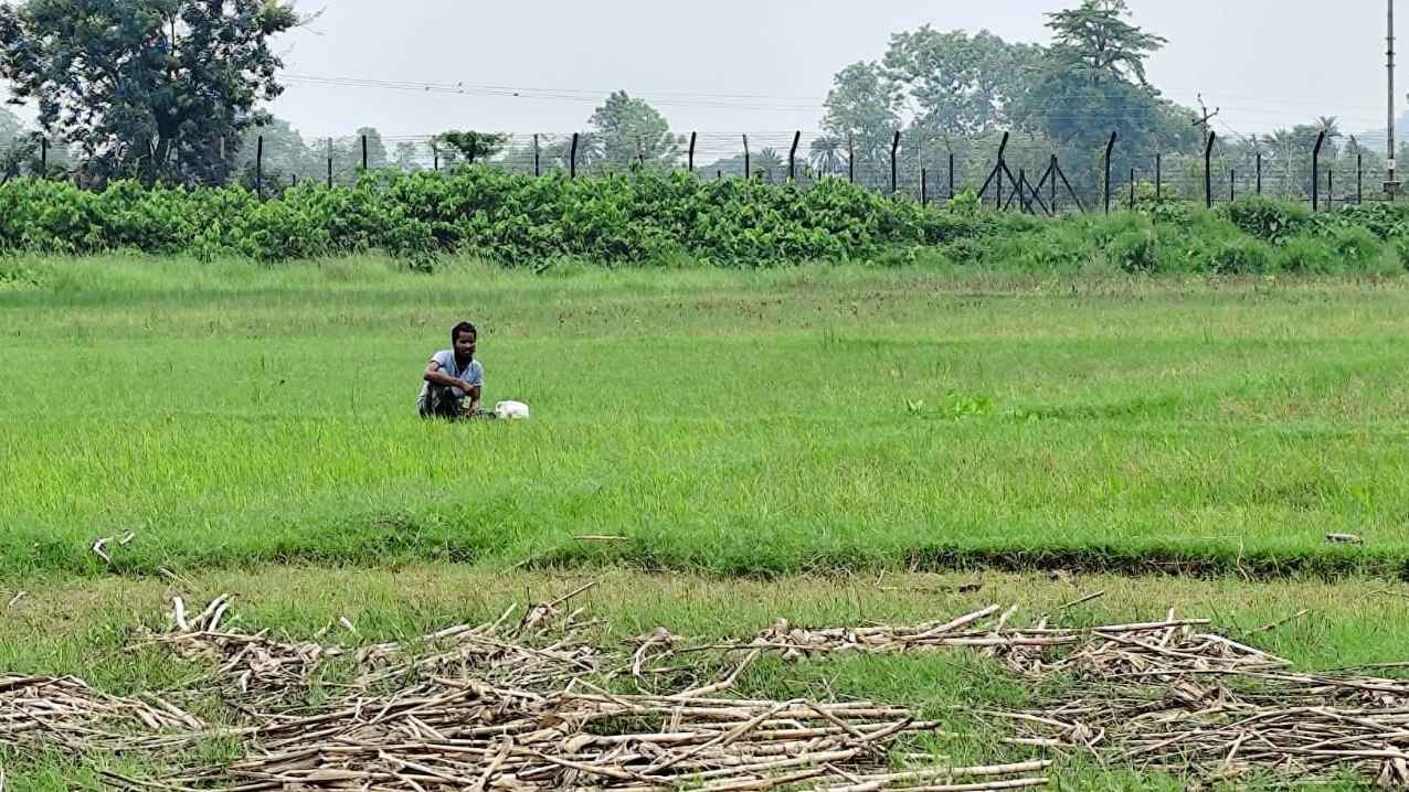 দেওয়ানগঞ্জ সীমান্তে পুশইনের চেষ্টা: বিজিবির বাধায় শূন্যরেখায় যুবক