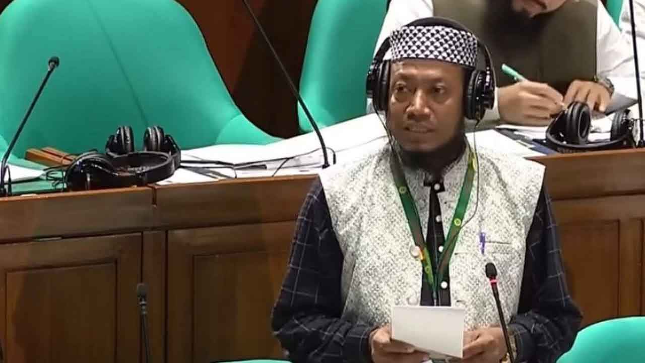 আমির হামজা