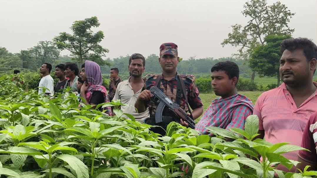 মেহেরপুর সীমান্তে বিএসএফের পুশইন চেষ্টা প্রতিহত, বিজিবির কঠোর অবস্থান