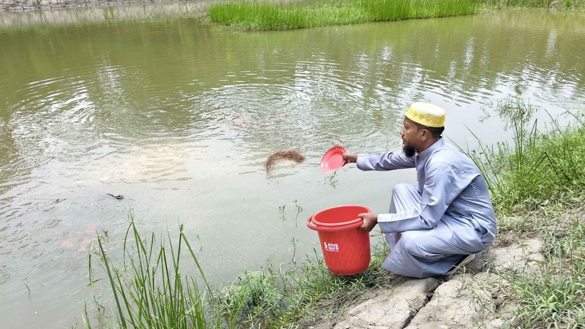 শিক্ষকতার পাশাপাশি ইমাম প্রশিক্ষণ নিয়ে কৃষিতে সফলতার মুখ দেখছেন