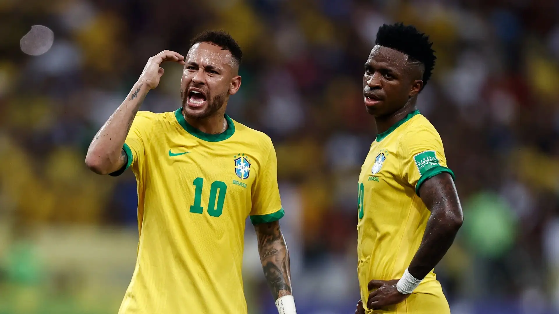 AAA-NEY-VINIJR.jpg AAA-NEY-VINIJR.jpg