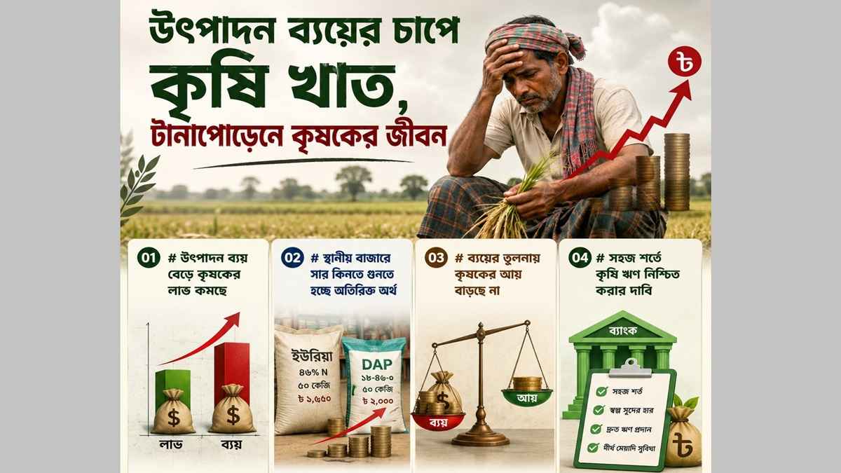উৎপাদন ব্যয়ের চাপে কৃষি খাত, টানাপোড়েনে কৃষকের জীবন