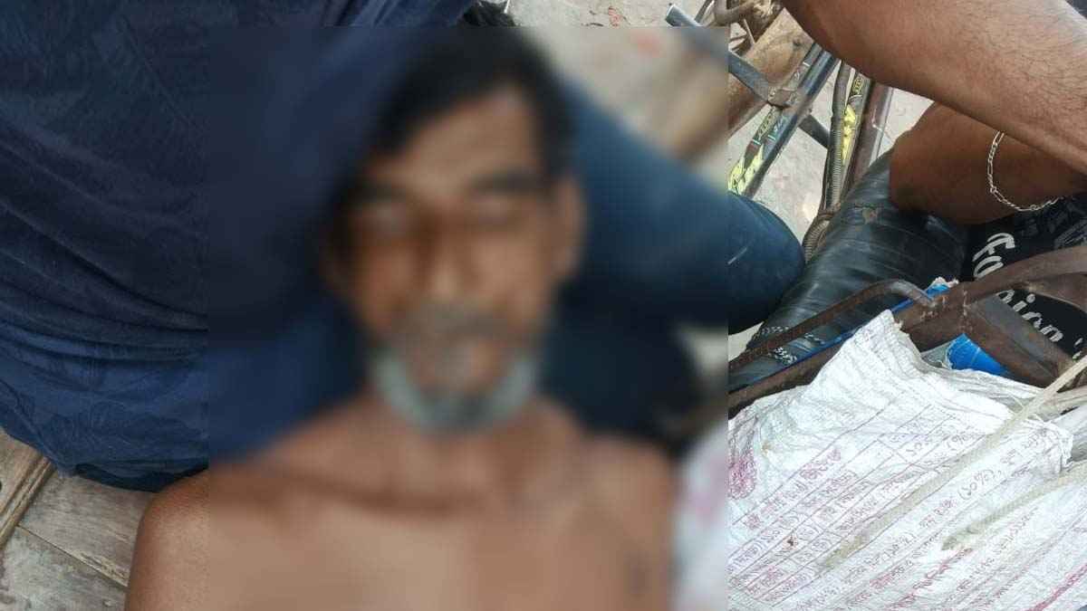 নাটোরে সাপের কামড়ে কৃষকের মৃত্যু