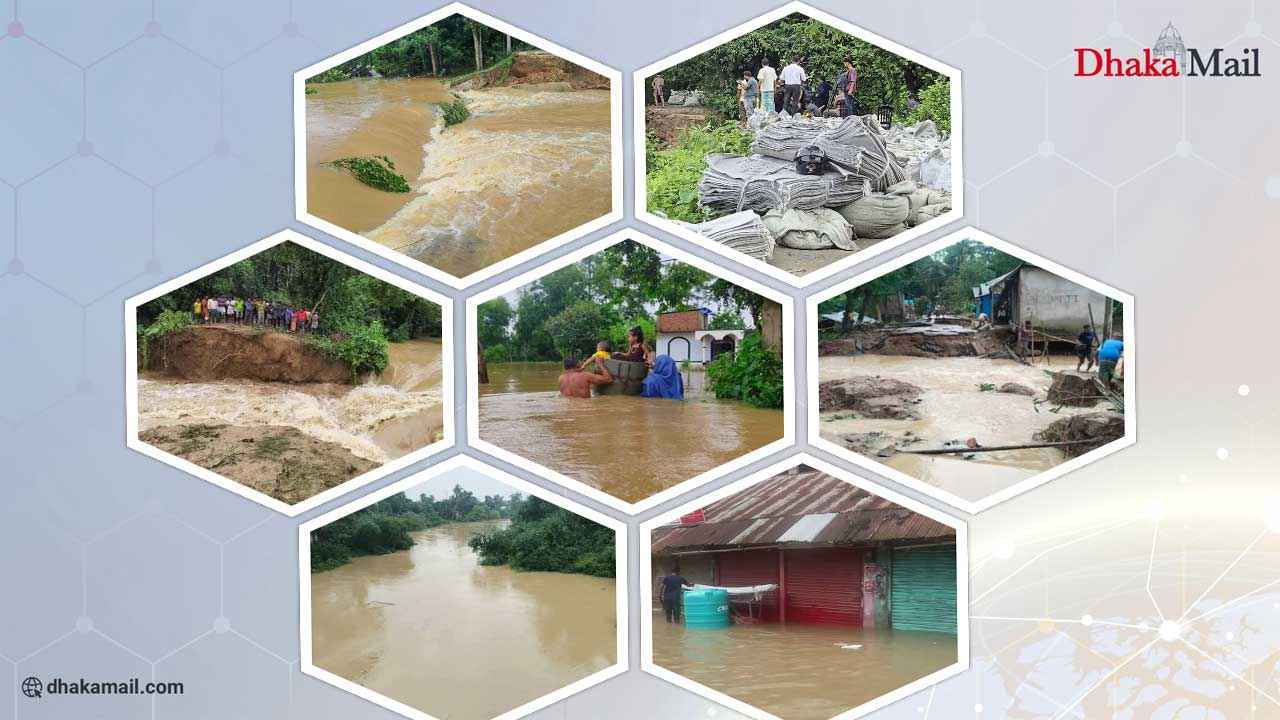 Feni News