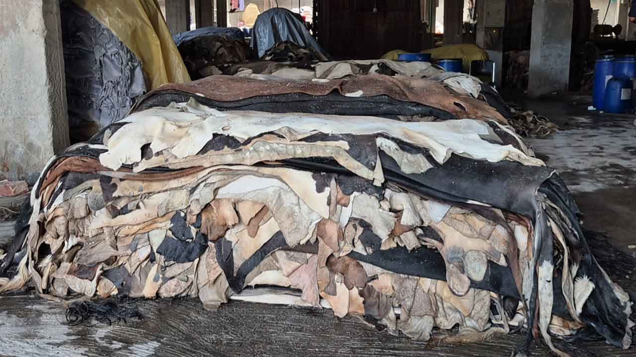 সাভার চামড়া শিল্পনগরী: সিইটিপি সংকটে কমেছে রফতানি, দাম তলানিতে