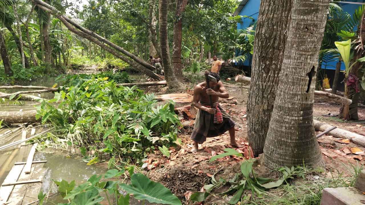 বিদ্যালয়ের মাঠে বেড়া দিয়ে কাটা হচ্ছে ৫ লাখ টাকা সমমূল্যের গাছ