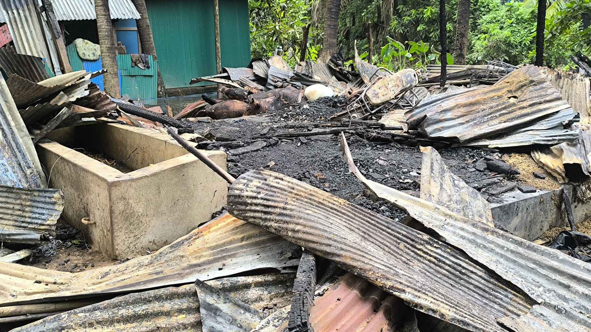পল্লী বিদ্যুতের অবহেলায় খামারির স্বপ্ন পুড়ে ছাই, ৪ গরুর মৃত্যু