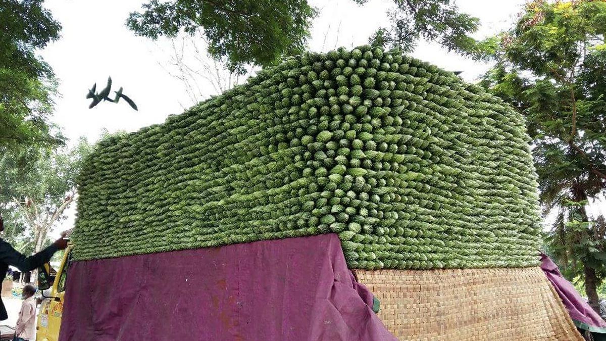 bagerhat_4