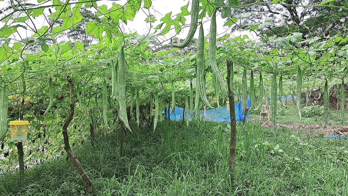 bagerhat_7