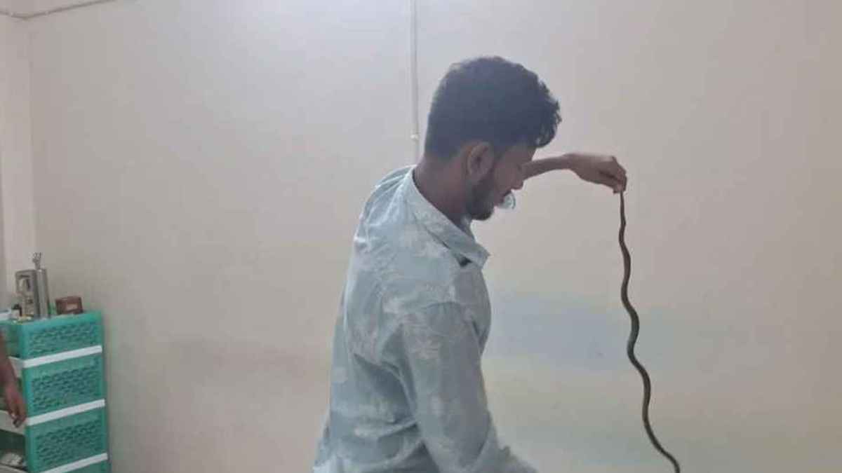 ক্লিনিকের এসির ভেতরে মিলল চার ফুটের কালনাগিনী সাপ
