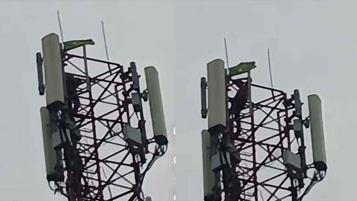 গলাচিপায় আকাশ ছোঁয়া মোবাইল টাওয়ারে ব্রাজিলের পতাকা