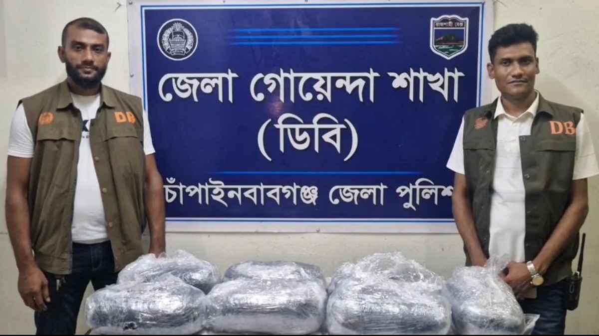 নাড়ুর কথা বলে কুরিয়ার সার্ভিসে ২ কার্টন গাঁজা বুকিং, ধরল ডিবি পুলিশ