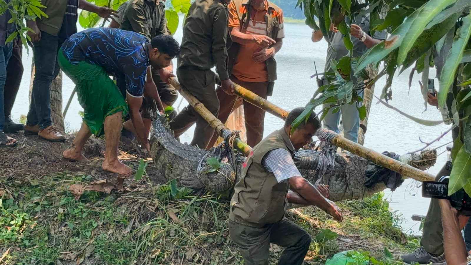 সরিয়ে নেওয়া হলো খানজাহান আলী মাজারের দিঘির কুমিরকে