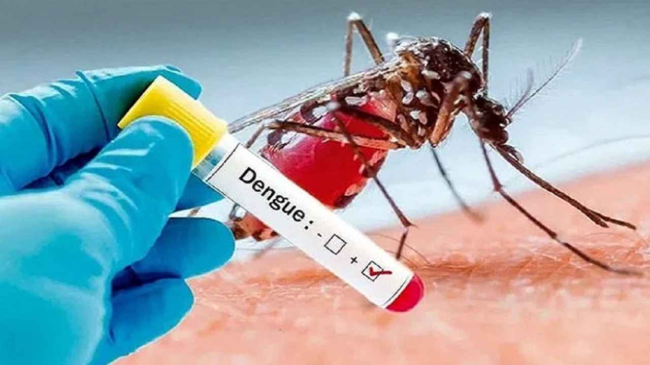 ডেঙ্গুর ক্লিনিক্যাল ম্যানেজমেন্ট, প্রশিক্ষণের দ্বিতীয় ব্যাচ সম্পন্ন