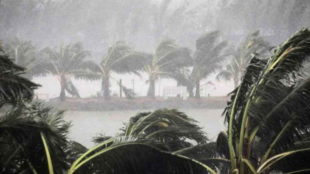 weather News