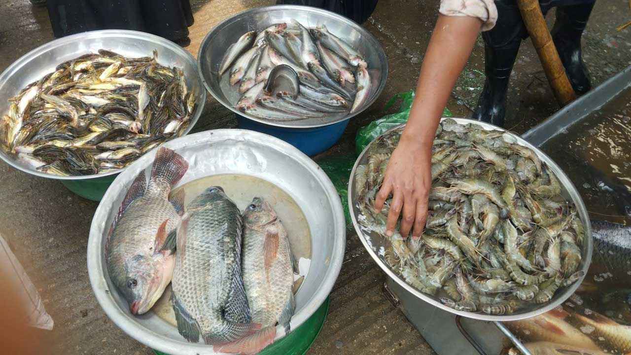 Fish market