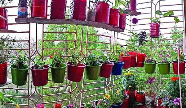 garden_1