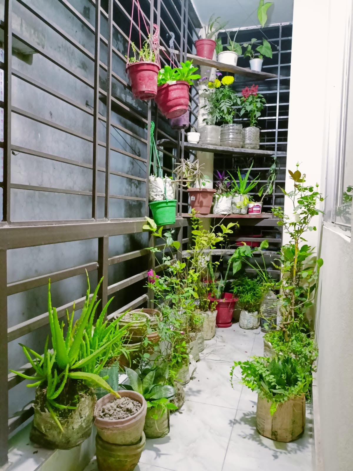 garden_2