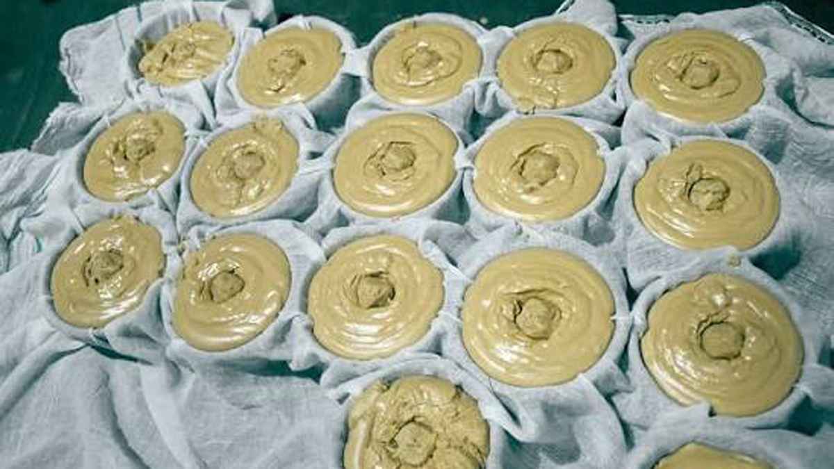 জিআই স্বীকৃতি পেল মানিকগঞ্জের হাজারী গুড়