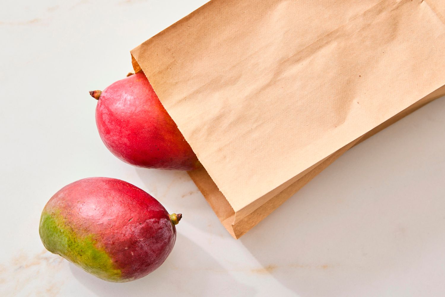 mango_1 mango_1