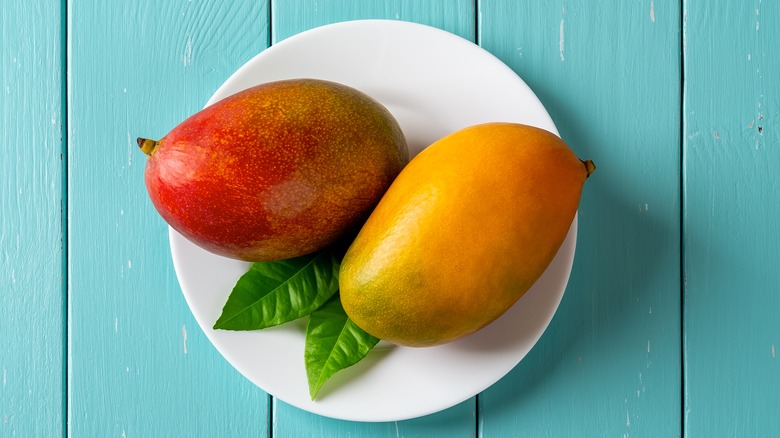 mango_3