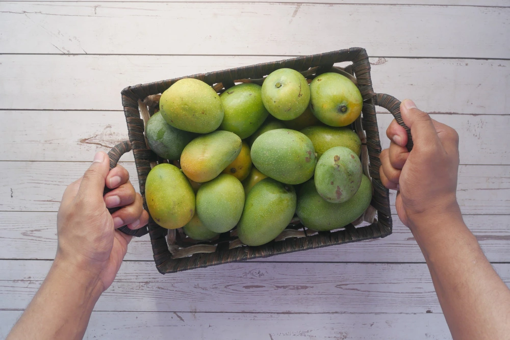 mango_3 mango_3