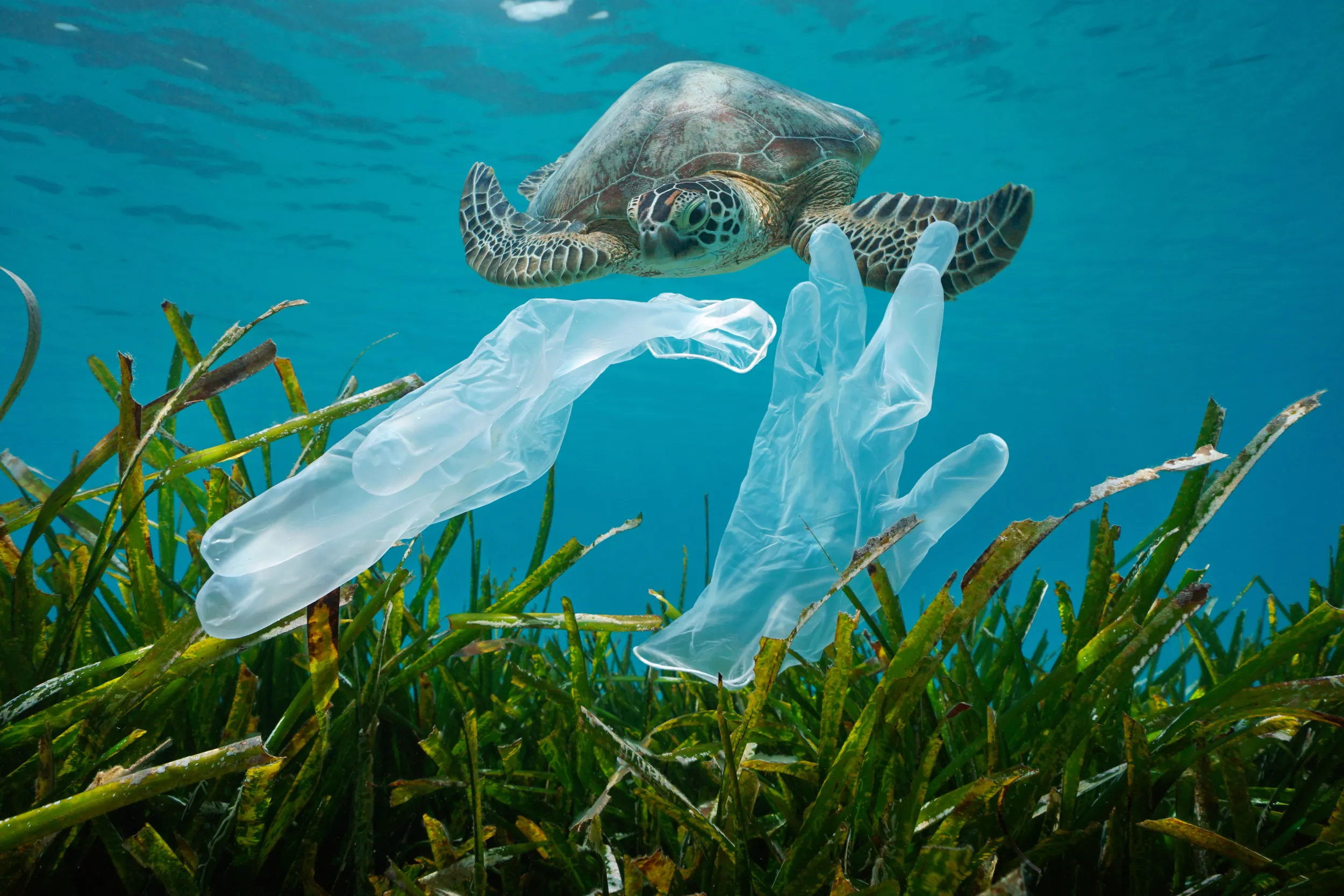 plastic_1