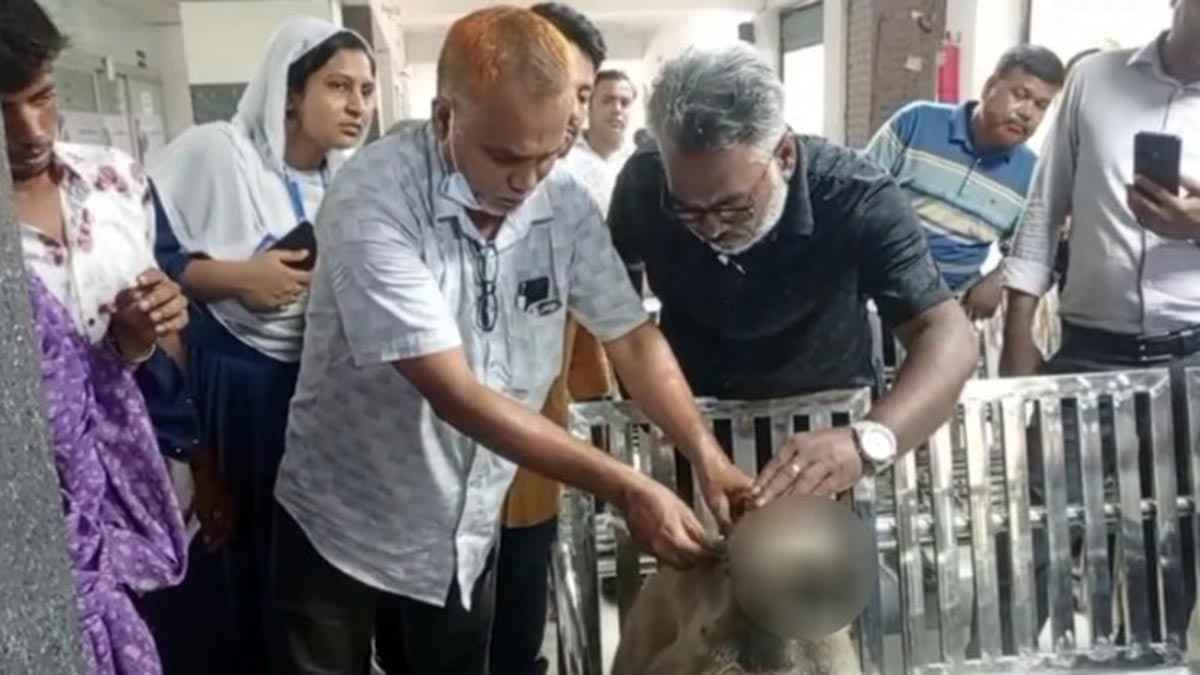 চিকিৎসা নিতে অসুস্থ হনুমান নিজেই হাজির প্রাইভেট ক্লিনিকে