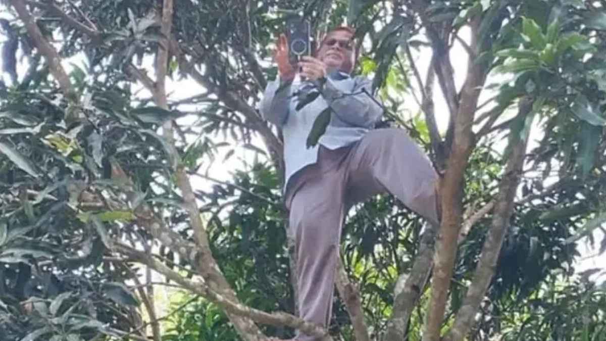 নেটওয়ার্কের খোঁজে মগডালে উঠে গেলেন প্রধান শিক্ষক, দিলেন হাজিরা