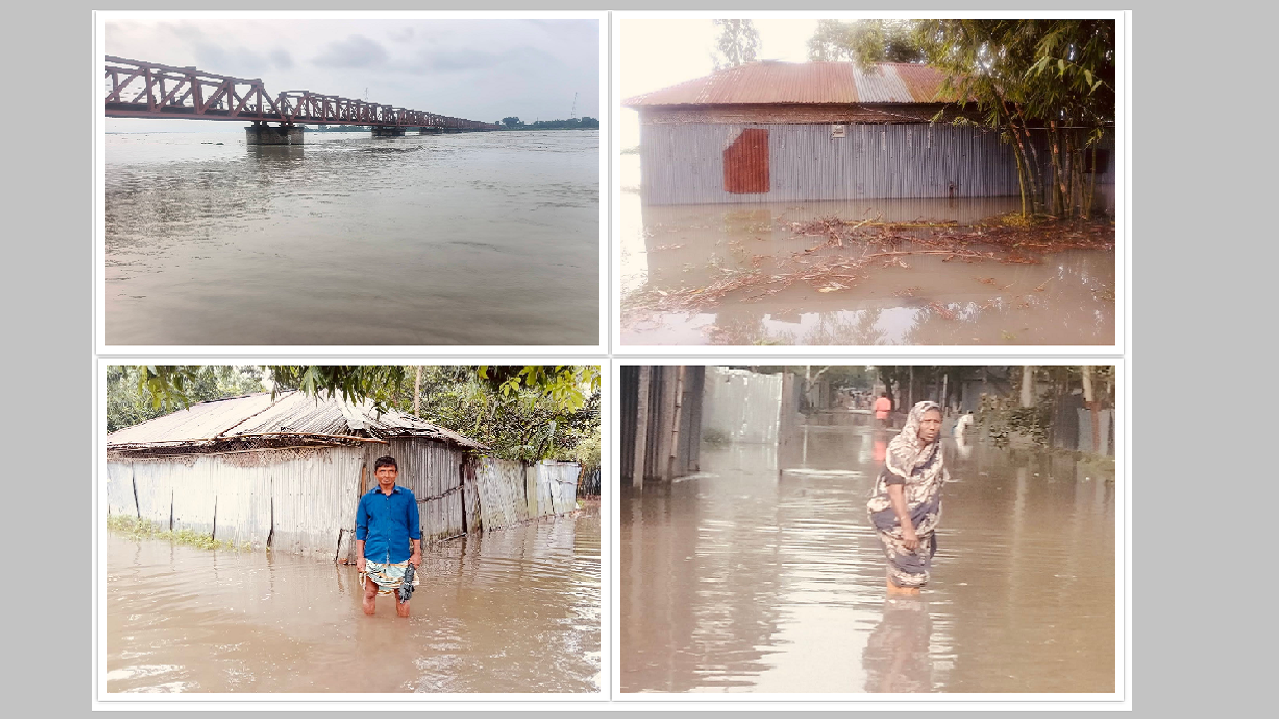 তিস্তার পানিতে নিম্নাঞ্চল প্লাবিত, পানিবন্দী ৮ হাজার পরিবার