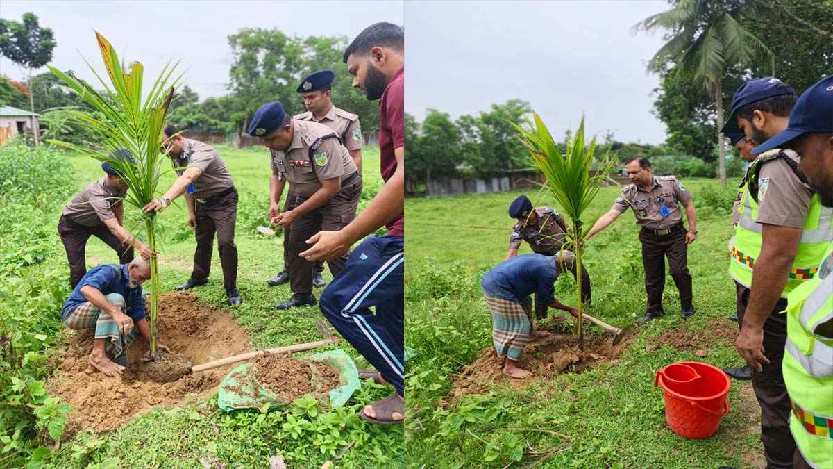 প্রধানমন্ত্রীর উদ্বোধন পরবর্তী কুমিল্লা হাইওয়ে রিজিয়নে বৃক্ষরোপণ