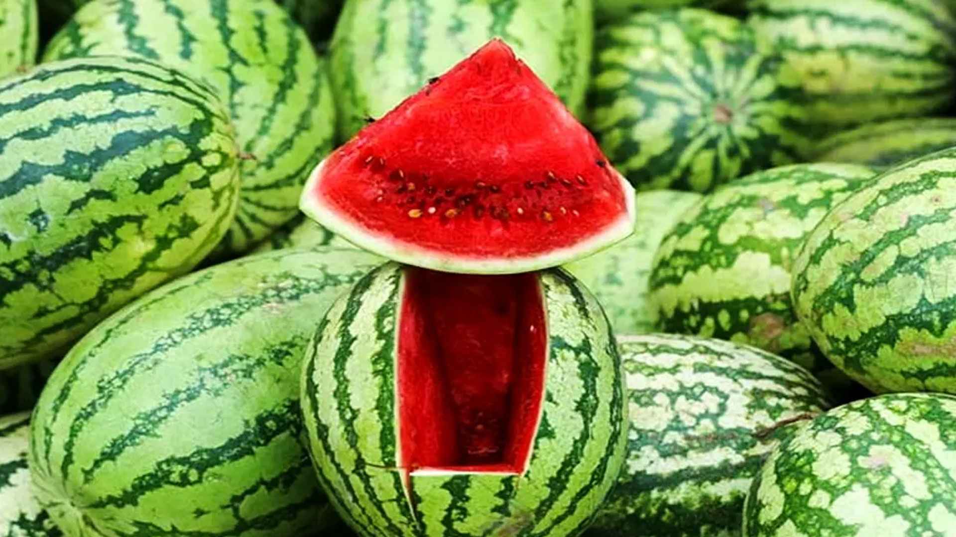 watermelon