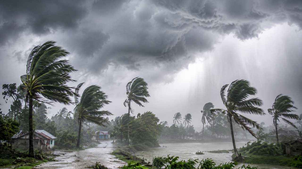 WEATHER NEWS