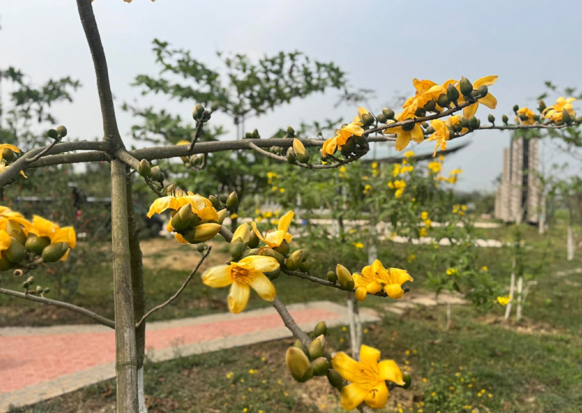 05e390d7-09fe-407e-aa63-e70bcaccad6d 05e390d7-09fe-407e-aa63-e70bcaccad6d