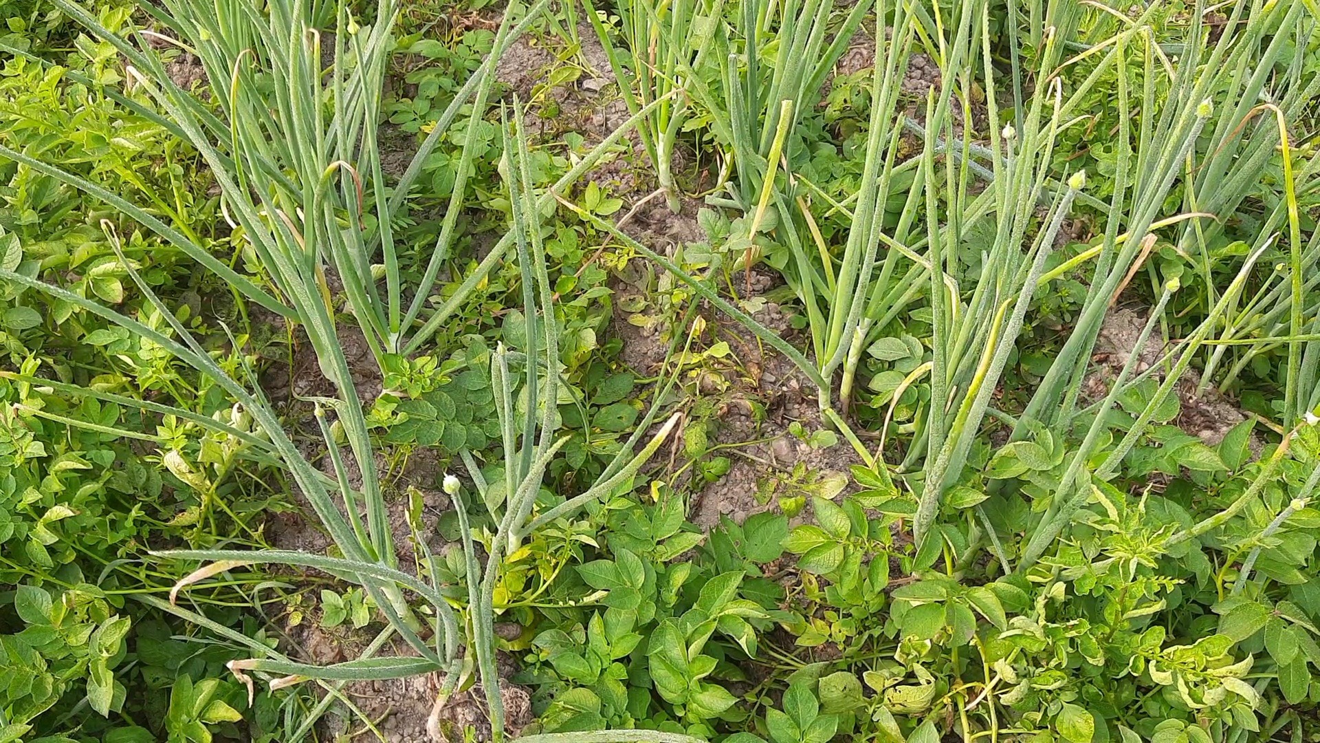 081dff60-467c-4344-a002-1b30709a0a33