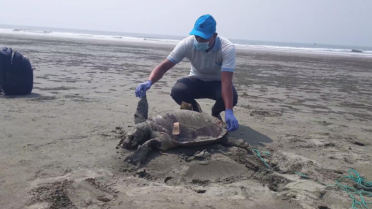 0b0ef036-f912-4674-bcc6-a974a8b3a7fb 0b0ef036-f912-4674-bcc6-a974a8b3a7fb