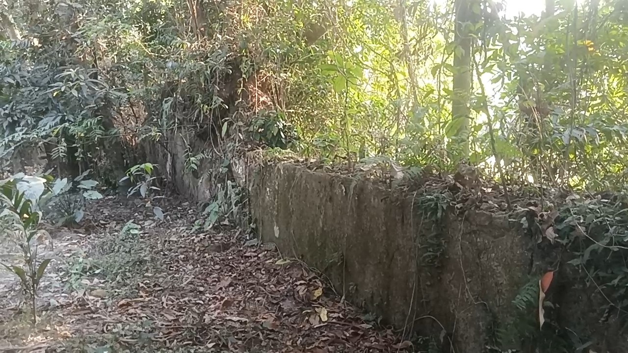 0cb62931-1509-4fb4-8bf8-b33a5c8efaea