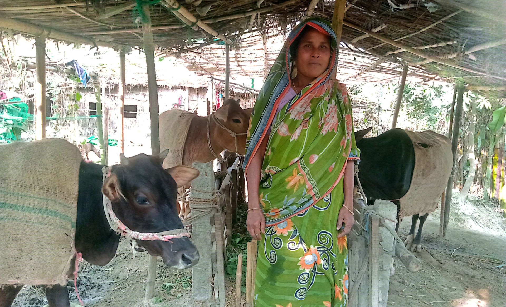 0cd2cb3d-710f-4c14-9edb-0e7a753097ff