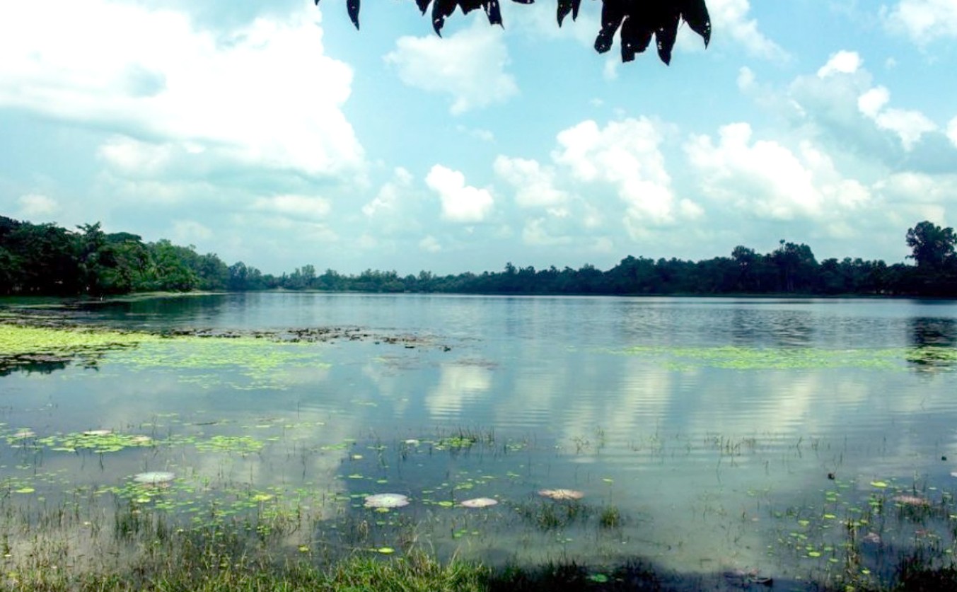 0e579d6b-70dd-4d8f-8d16-45dfa9a8c9f5