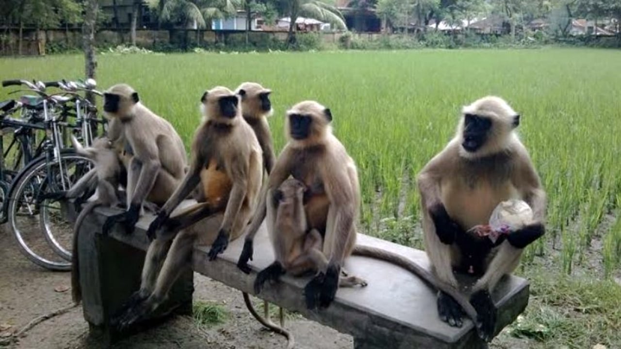 106d1862-a833-46cb-9267-75eedb8a946f