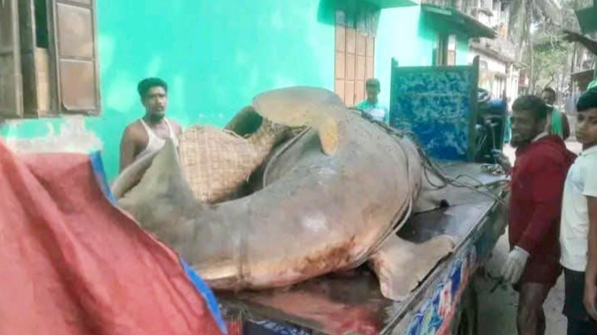 10ee42ec-ebfd-4431-8fd5-dfd8a48c8c8c